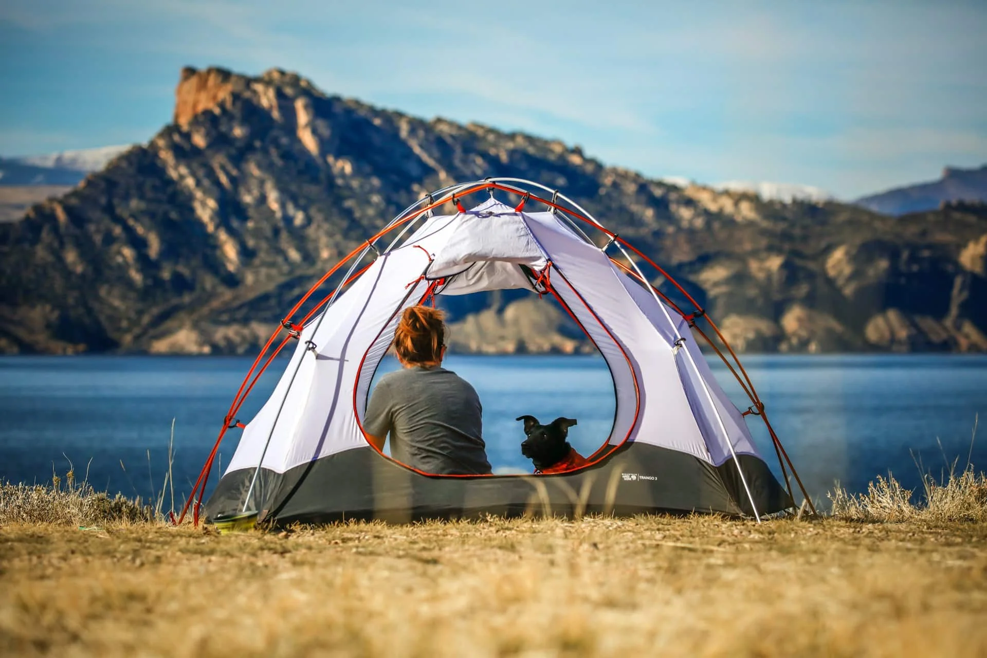 Preparing for a Camping Trip with Your Dog