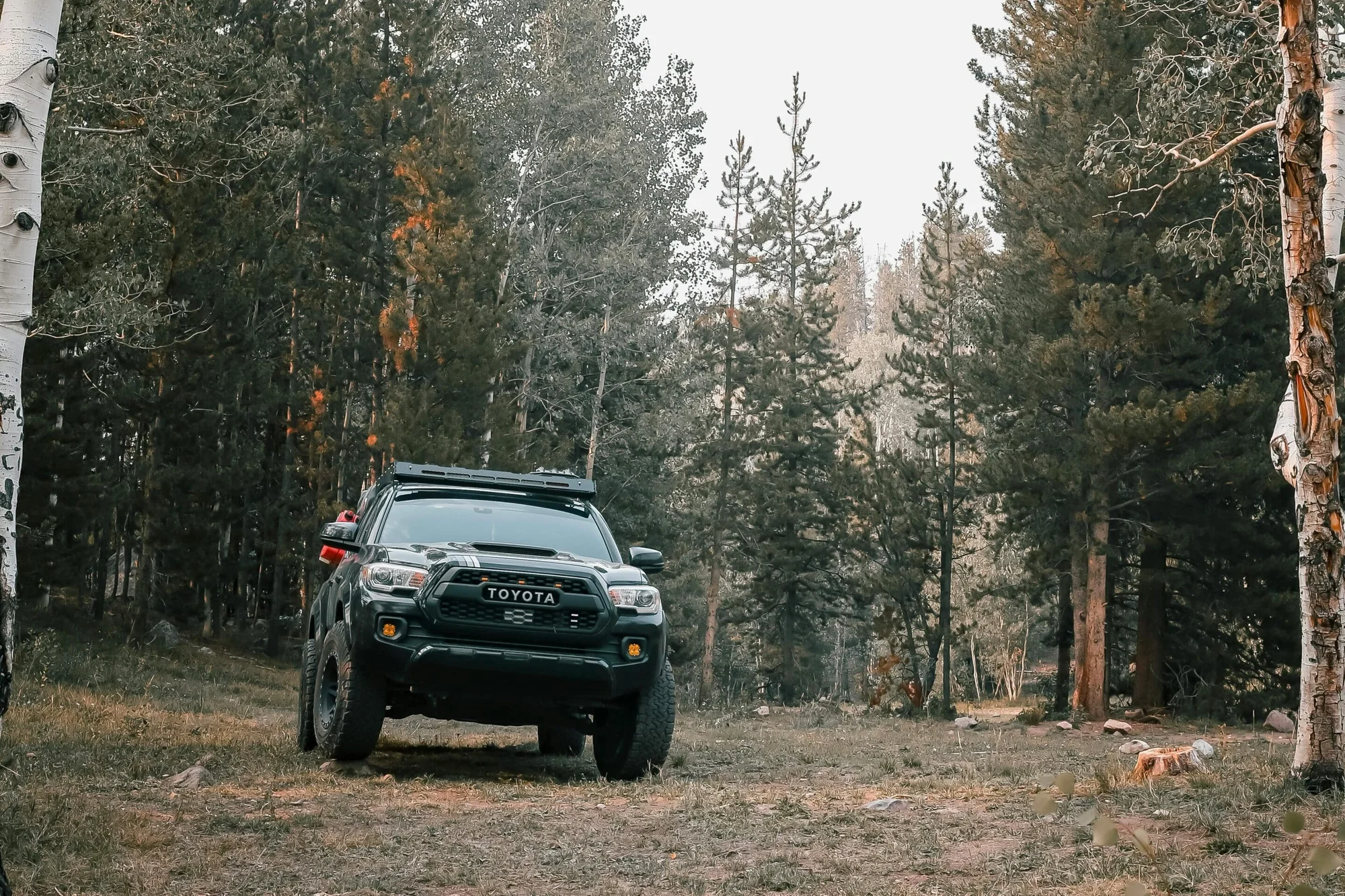 Which Trucks Are Best for Camping in 2024?