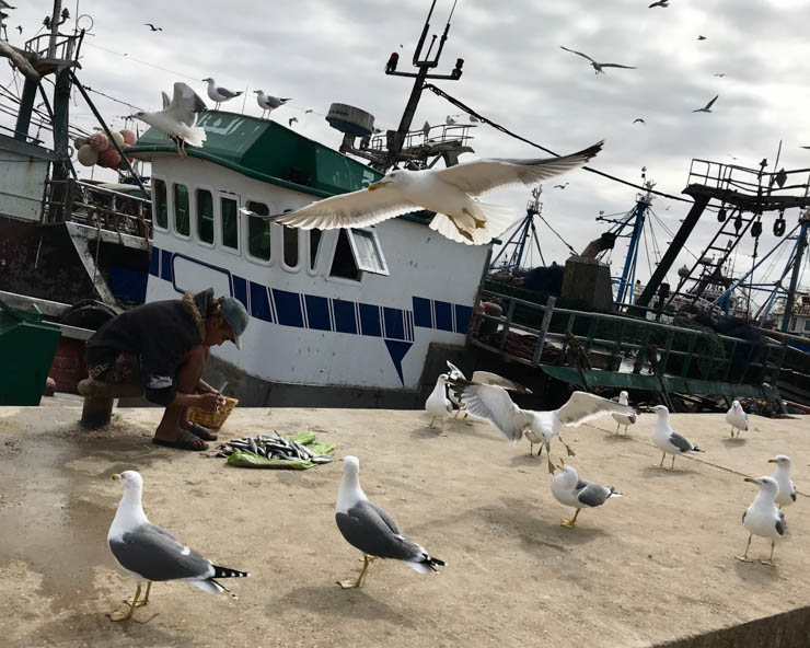 fishermen in essaouira