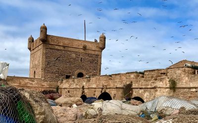 9 Things to do in Essaouira, Morocco