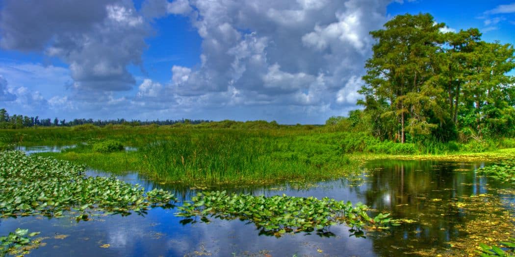 everglades national park