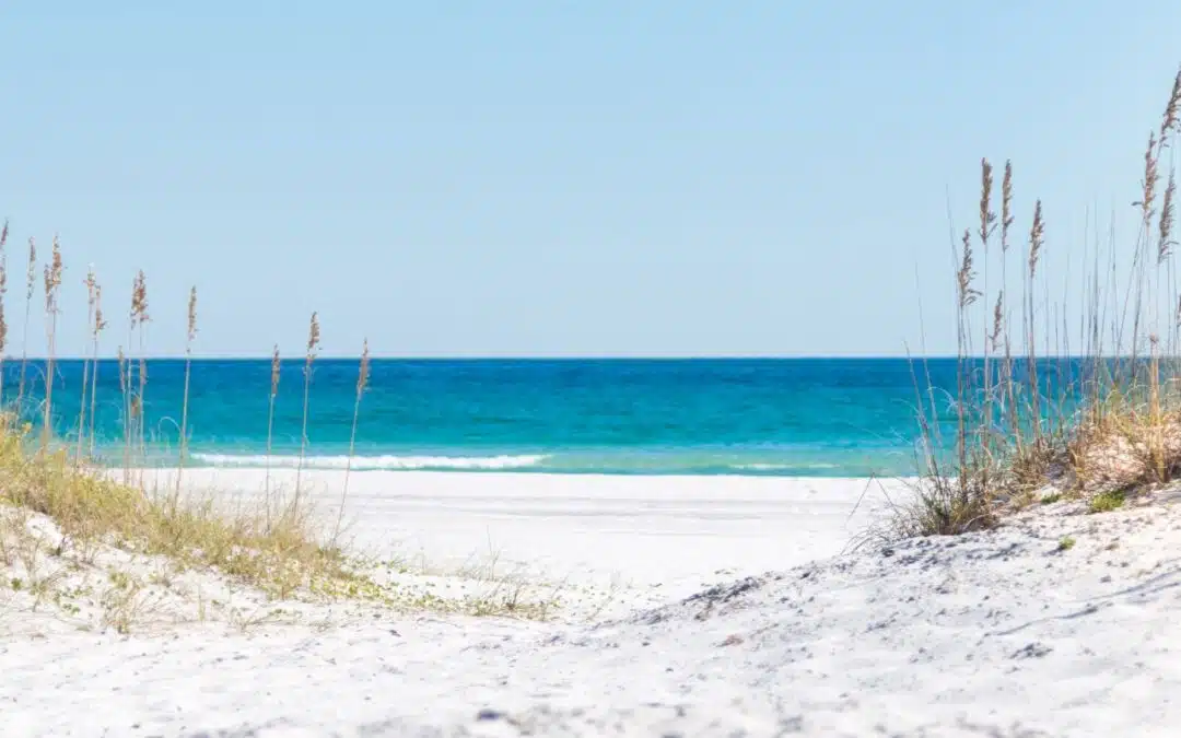 Top 20 Cheap Florida Vacations (Budget-Friendly!)