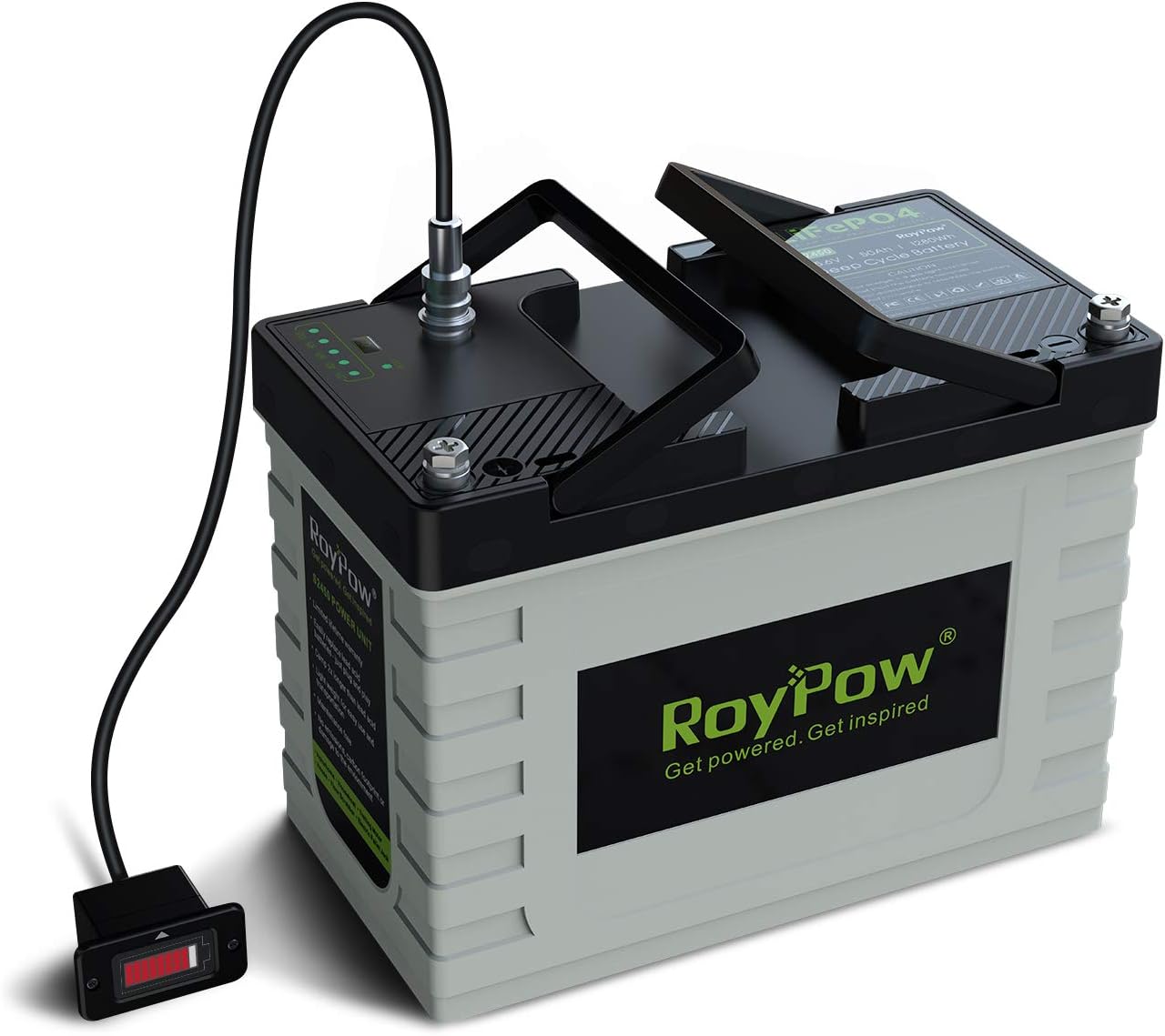 RoyPow Rechargeable Lithium Ion Phosphate Battery