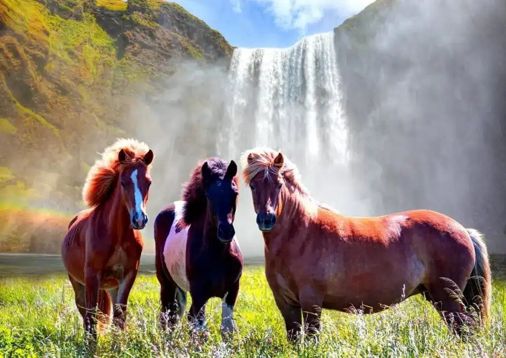 iceland waterfalls