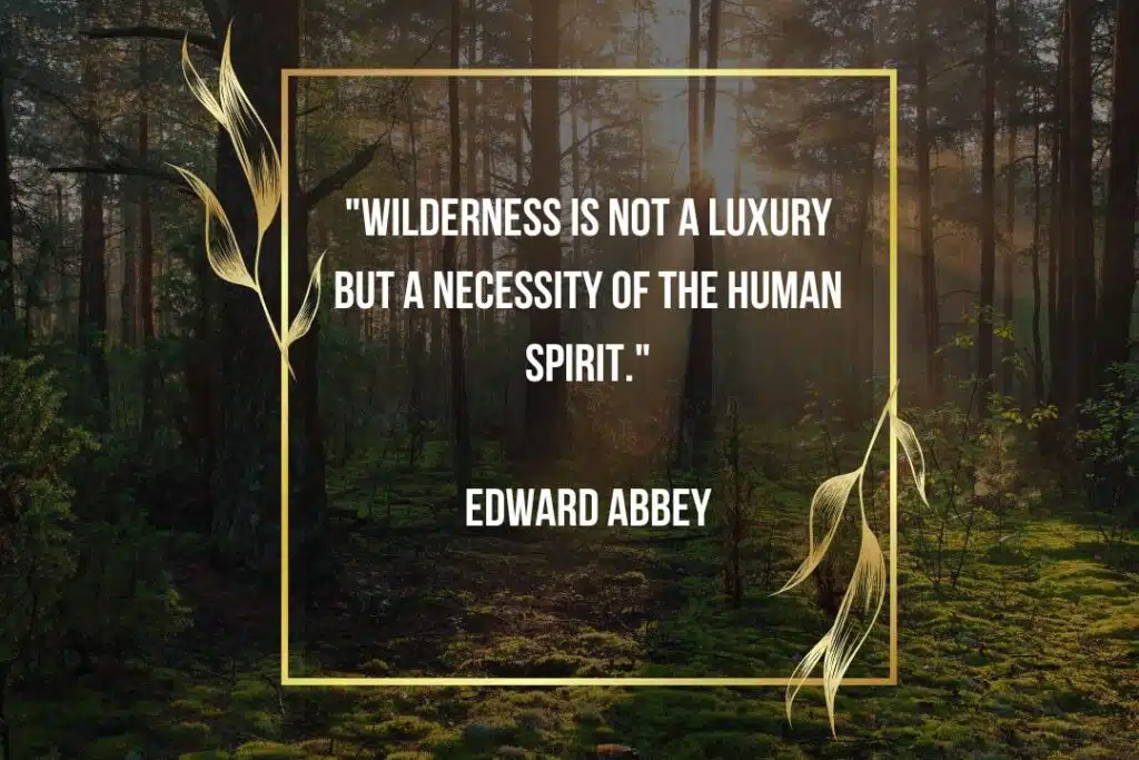 edward abbey quote