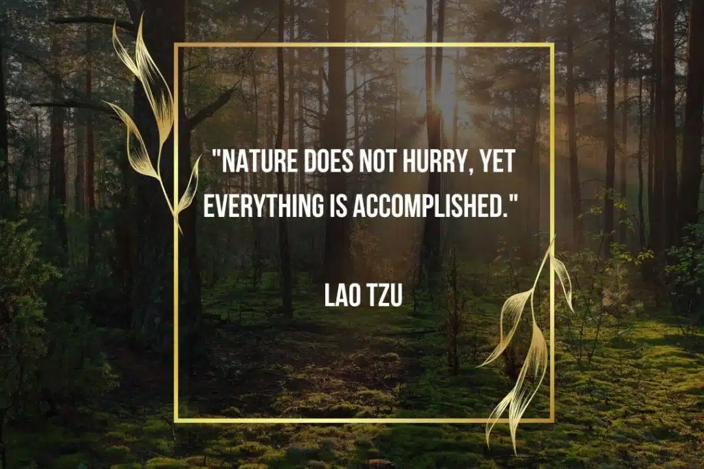 nature quote lao tzu