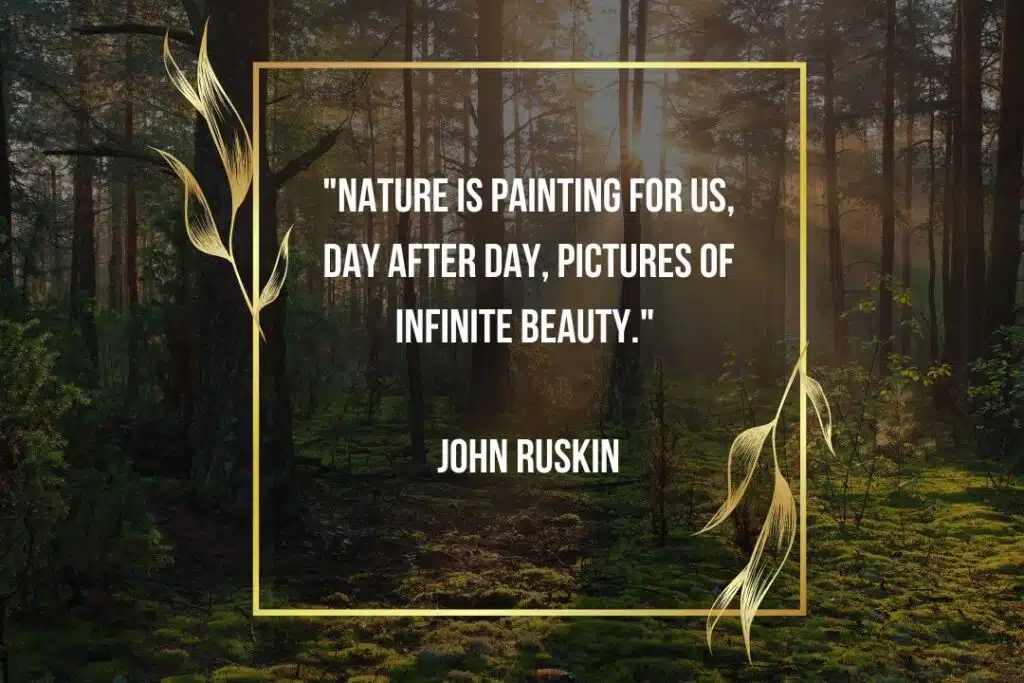 nature quote john ruskin