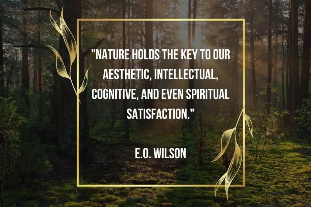 nature quote