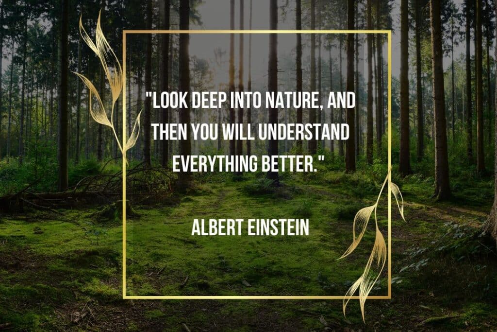 nature quote albert einstein