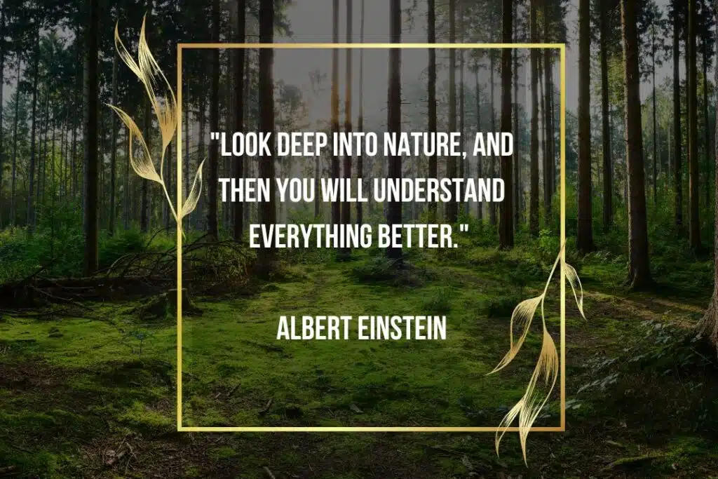 nature quote albert einstein