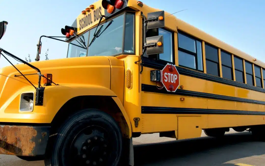 Best Bus and Skoolie Conversion Companies