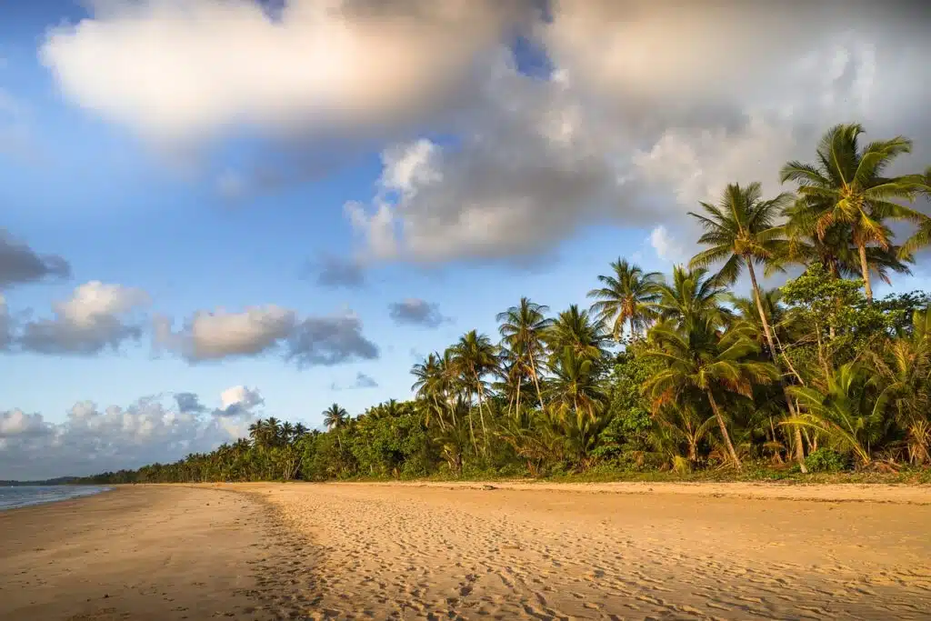 A beach in Queensland, Australia.