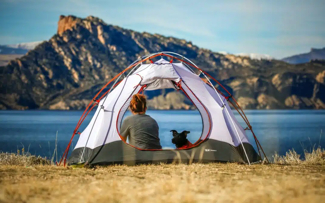 Preparing for a Camping Trip with Your Dog